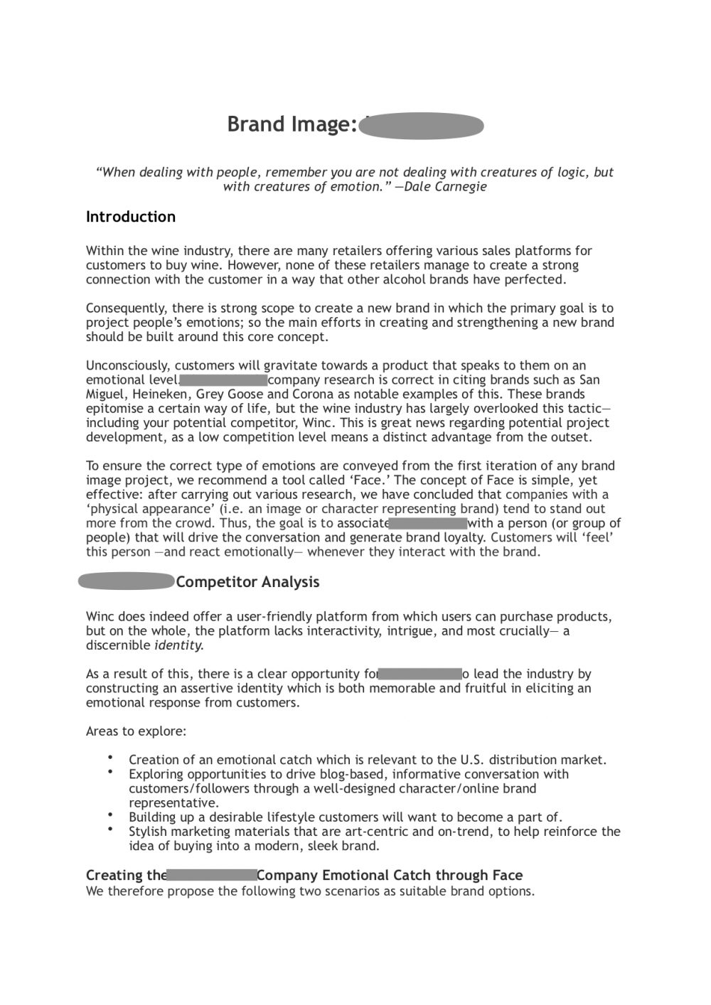 -Client-Redacted-Brand-Image-redraft-page1-img