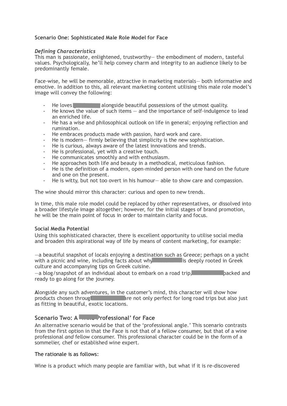 -Client-Redacted-Brand-Image-redraft-page2-img