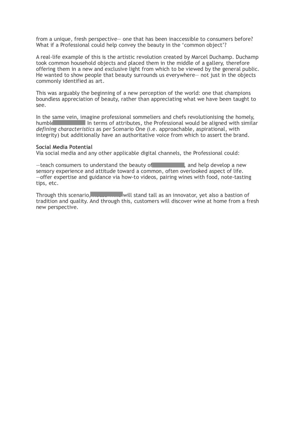 -Client-Redacted-Brand-Image-redraft-page3-img