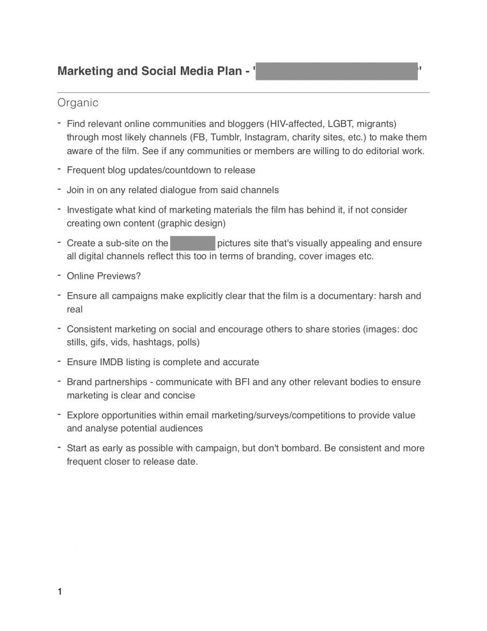 Marketing-and-Social-Media-Plan-Redacted-pg-1-img